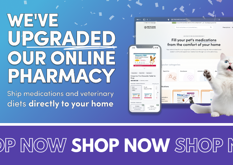 Carousel Slide 4: Shop our online pharmacy and pet store!