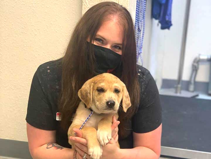 Preventive Care for Dogs